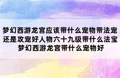 梦幻西游龙宫应该带什么宠物带法宠还是攻宠好人物六十九级带什么法宝 梦幻西游龙宫带什么宠物好